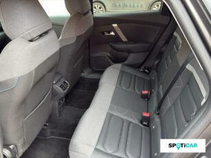 10 c3e7ea88 6c07 4ff2 b9de 4966637961ab