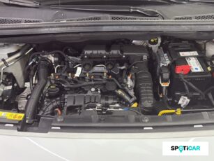 12 4284b98d 8143 429c 817e dacca469e5a3