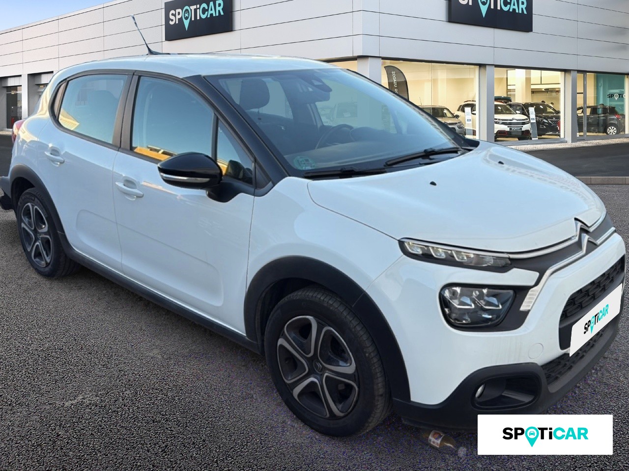 1 037a2c35 4292 44ea a99e 1c4d560350ea