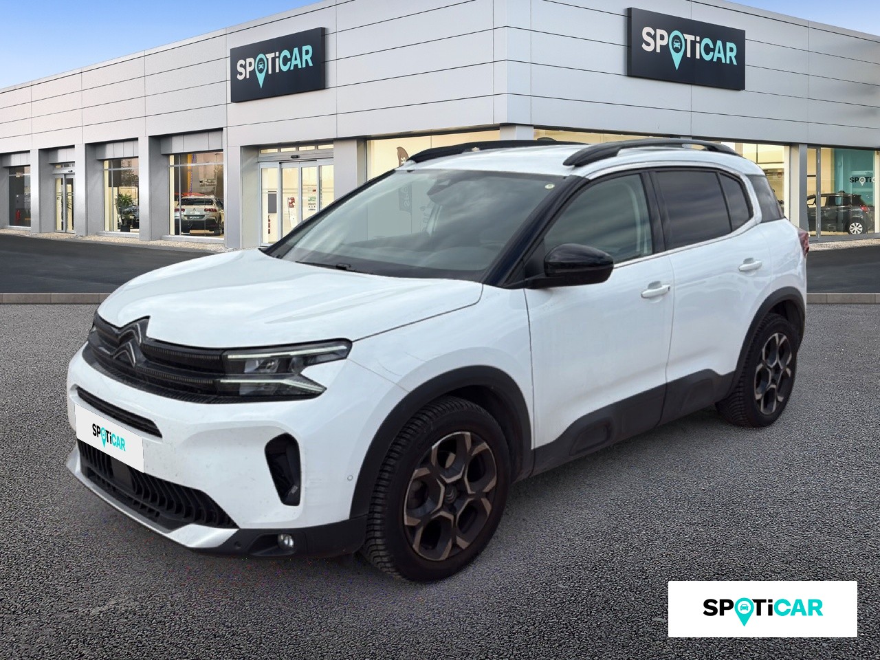 1 d245fbe4 a69f 4cfa 9cd4 93388fa29c88