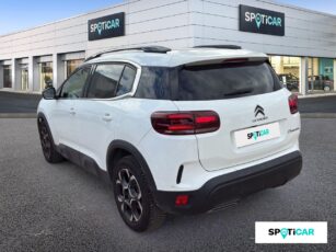 7 b9f617e4 9a8f 439f bfb7 b0d420e835b4