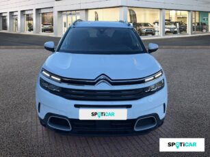 2 d8279c3e dfff 4859 99c4 d03f49fedc4a