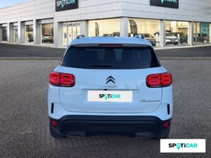 5 fc2537a5 a2c8 4c94 b4bb 8916e3de08bd